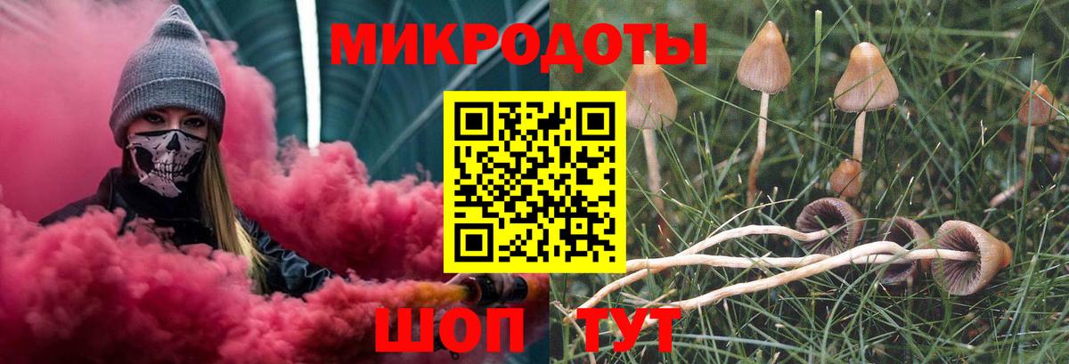 Галлюциногенные грибы Psilocybe Кудымкар