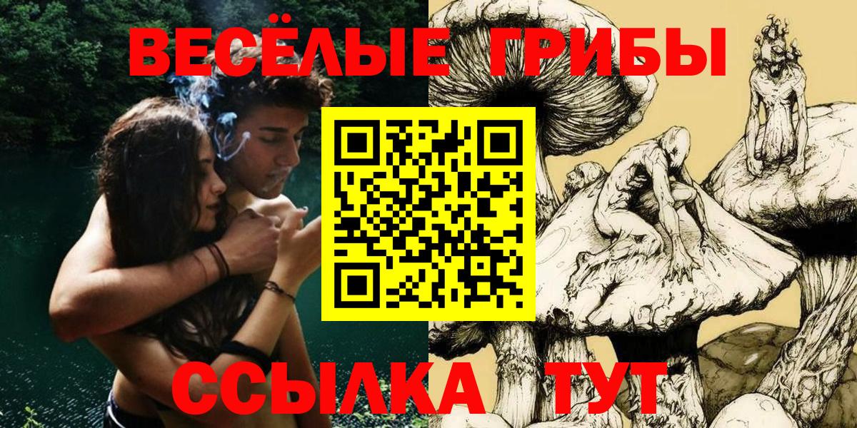 Псилоцибиновые грибы мицелий  Вход с VPN  дарнет шоп  Кудымкар 
